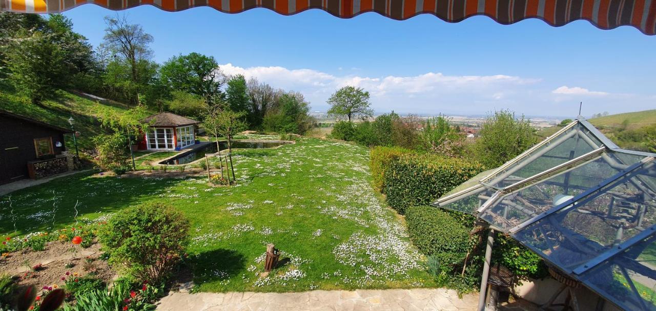 Paradies 1 Ballrechten-Dottingen Luaran gambar