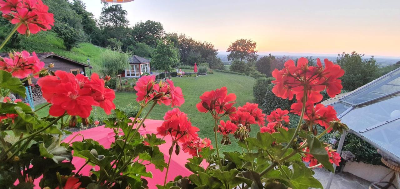 Paradies 1 Ballrechten-Dottingen Luaran gambar