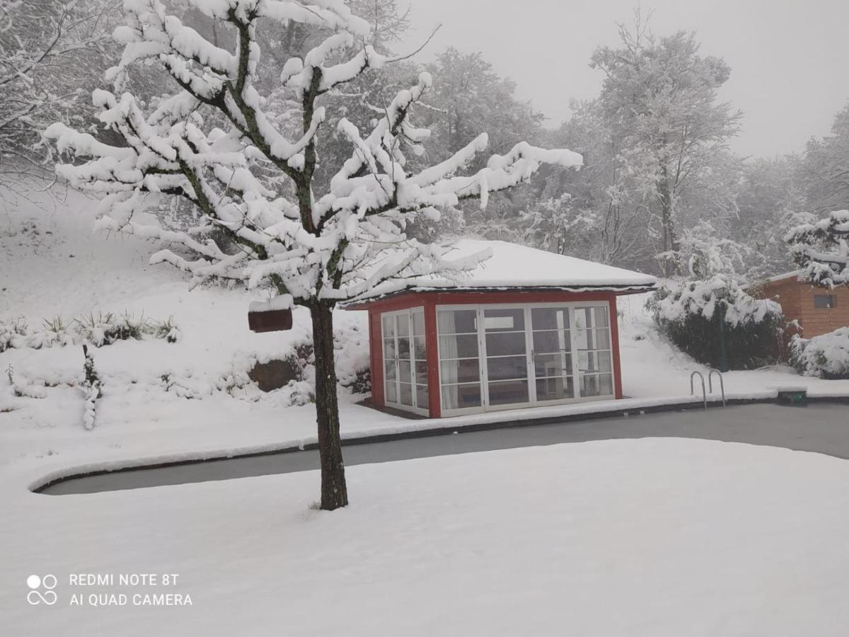 Paradies 1 Ballrechten-Dottingen Luaran gambar