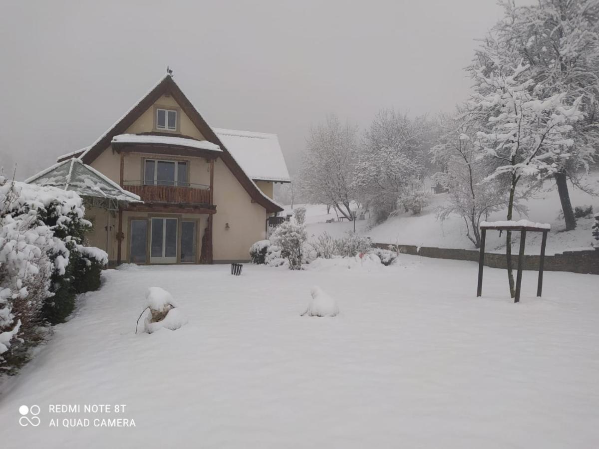 Paradies 1 Ballrechten-Dottingen Luaran gambar