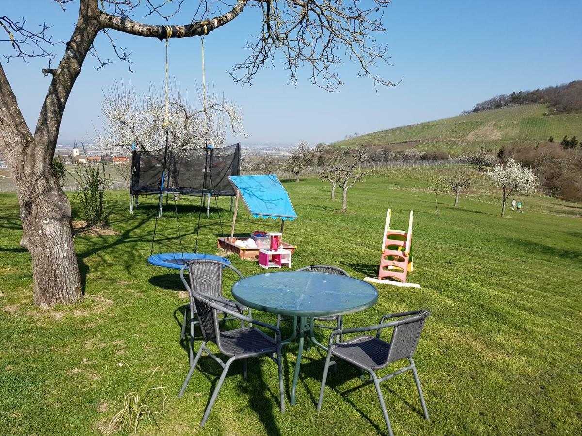 Paradies 1 Ballrechten-Dottingen Luaran gambar
