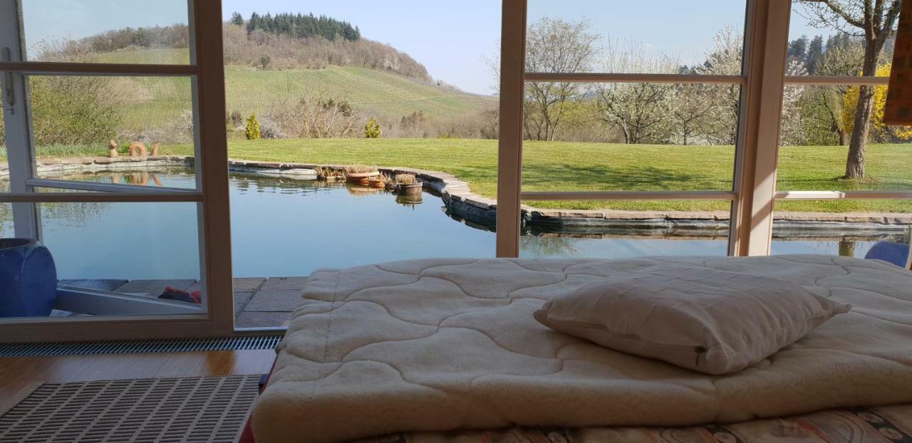 Paradies 1 Ballrechten-Dottingen Luaran gambar